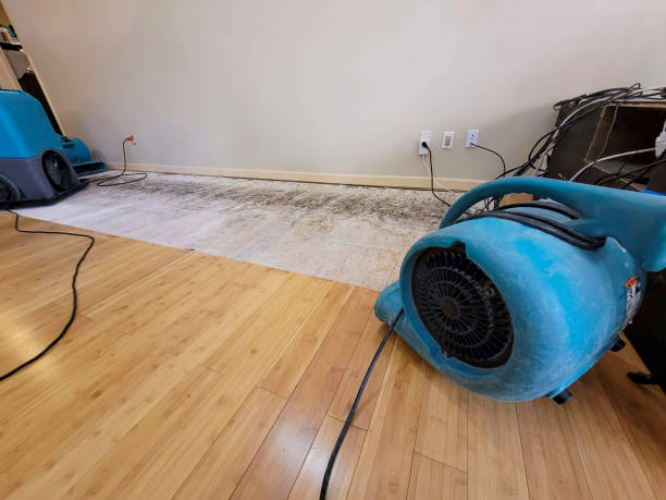 Professional Sewage Cleanup technician working in Perryman, MD